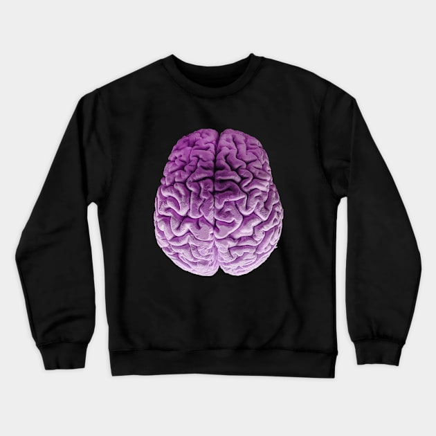 The Purple Brain Crewneck Sweatshirt by Bugsponge